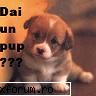 admin/slot - sefu - ProFF.idle.ro